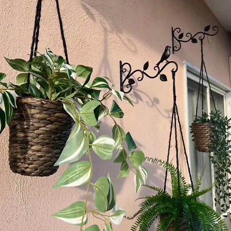 Anastasia Bed and breakfast Pompeya